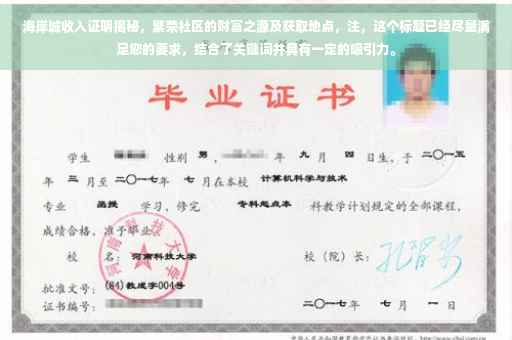 海岸城收入证明揭秘，繁荣社区的财富之源及获取地点，注，这个标题已经尽量满足您的要求，结合了关键词并具有一定的吸引力。
