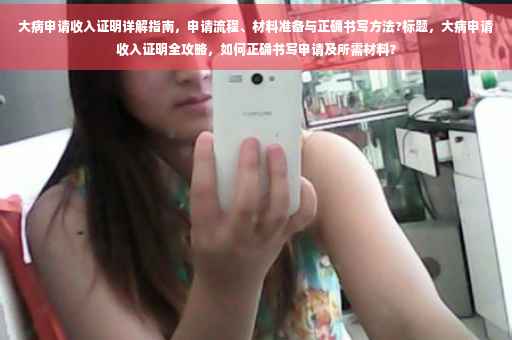 大病申请收入证明详解指南，申请流程、材料准备与正确书写方法?标题，大病申请收入证明全攻略，如何正确书写申请及所需材料？