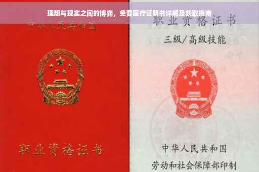 理想与现实之间的博弈，免费医疗证明书详解及获取指南