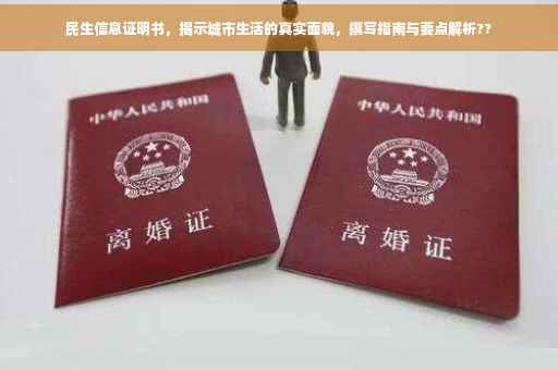 民生信息证明书，揭示城市生活的真实面貌，撰写指南与要点解析??