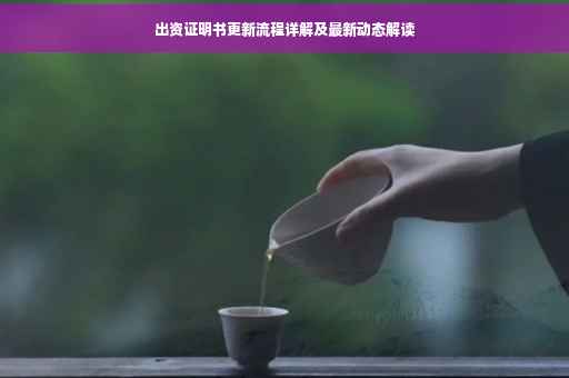 出资证明书更新流程详解及最新动态解读