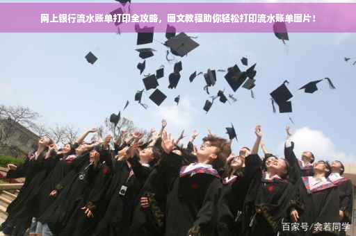 网上银行流水账单打印全攻略，图文教程助你轻松打印流水账单图片！