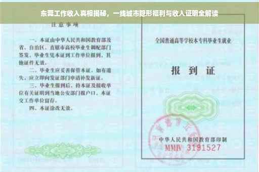 东莞工作收入真相揭秘，一线城市隐形福利与收入证明全解读
