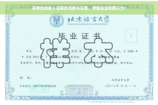买房伪造收入证明的风险与后果，警惕违法犯罪行为！