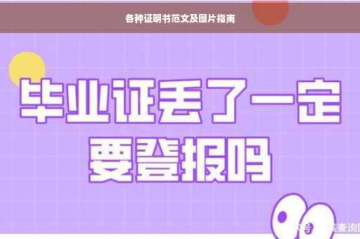 各种证明书范文及图片指南