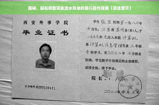 揭秘，轻松获取现金流水账单的银行操作指南（违法警示）