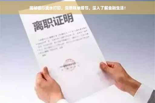 揭秘银行流水打印，洞悉账单细节，深入了解金融生活！