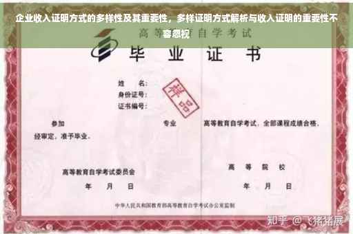 企业收入证明方式的多样性及其重要性，多样证明方式解析与收入证明的重要性不容忽视