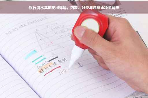 银行流水其他支出详解，内容、分类与注意事项全解析