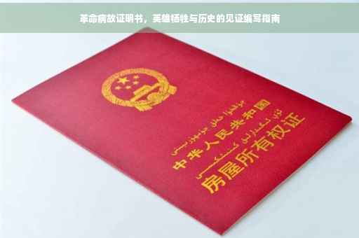革命病故证明书，英雄牺牲与历史的见证编写指南