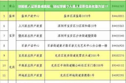 详解收入证明查询流程，轻松掌握个人收入证明信息核查方法??