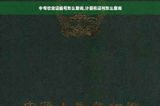 中专毕业证编号怎么查询,计算机证书怎么查询