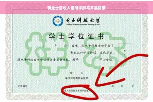 转业士官收入证明详解与开具指南