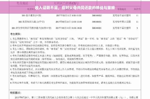 收入证明不足，应对父母共同还款的挑战与策略