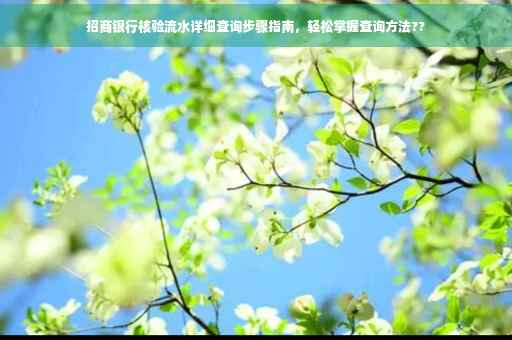 招商银行核验流水详细查询步骤指南，轻松掌握查询方法??