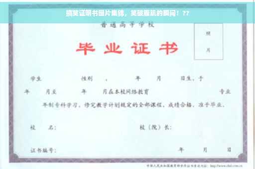 搞笑证明书图片集锦，笑破腹肌的瞬间！??