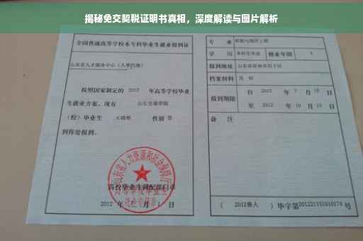 揭秘免交契税证明书真相，深度解读与图片解析