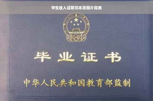 学生收入证明范本及图片指南