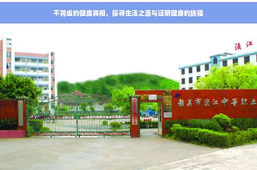 不肾虚的健康真相，探寻生活之源与证明健康的旅程