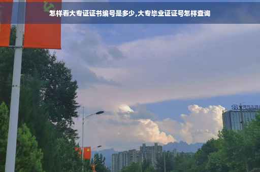 怎样看大专证证书编号是多少,大专毕业证证号怎样查询