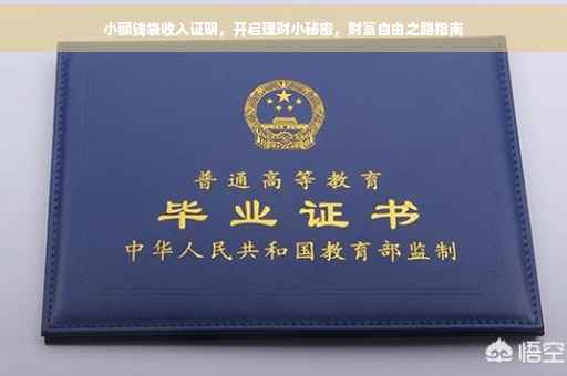 小额钱袋收入证明，开启理财小秘密，财富自由之路指南