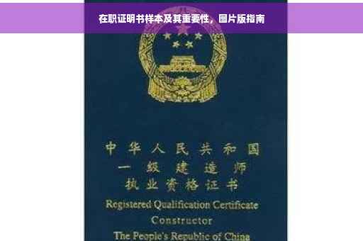 在职证明书样本及其重要性，图片版指南