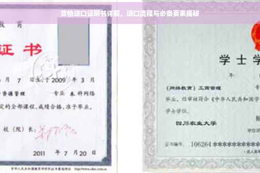 货物进口证明书详解，进口流程与必备要素揭秘