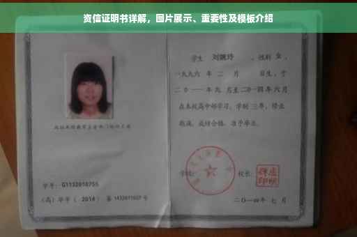 资信证明书详解，图片展示、重要性及模板介绍