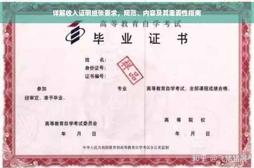 详解收入证明纸张要求，规范、内容及其重要性指南