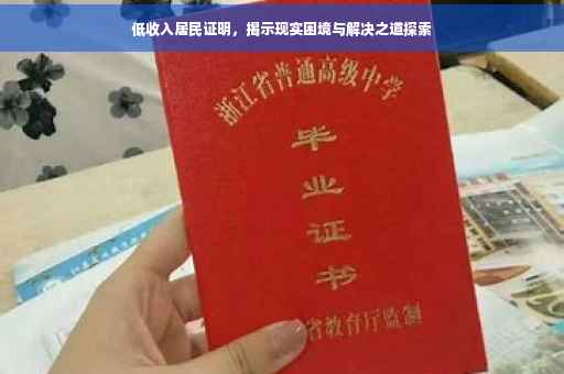 低收入居民证明，揭示现实困境与解决之道探索