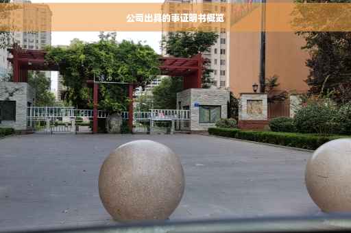 公司出具的事证明书概览