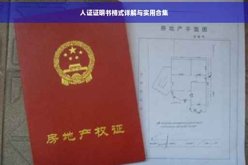 人证证明书格式详解与实用合集