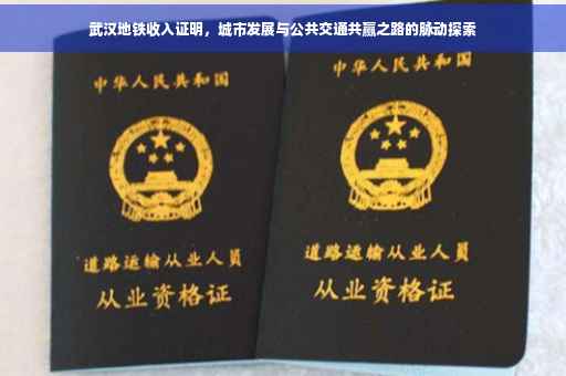 武汉地铁收入证明，城市发展与公共交通共赢之路的脉动探索