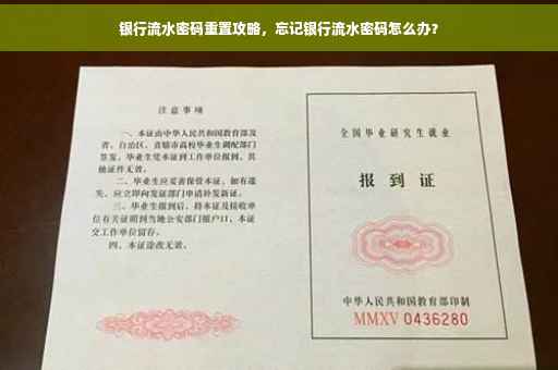 银行流水密码重置攻略，忘记银行流水密码怎么办？