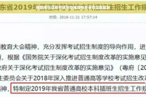 腰部摔伤证明书撰写指南及相关事项深度解析