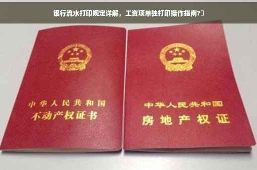 银行流水打印规定详解，工资项单独打印操作指南?✨