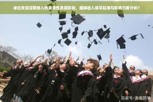 单位资信证明收入的重要性及其影响，揭秘收入填写标准与影响力度分析?