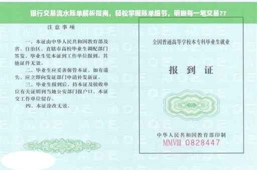 银行交易流水账单解析指南，轻松掌握账单细节，明晰每一笔交易??