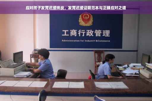 应对孩子发育迟缓挑战，发育迟缓证明范本与正确应对之道