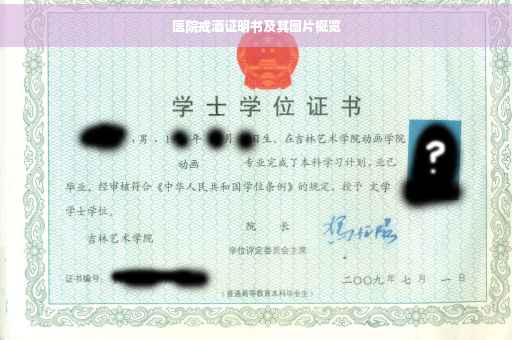医院戒酒证明书及其图片概览