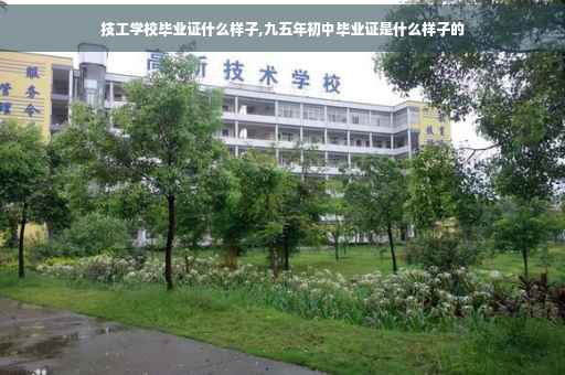 技工学校毕业证什么样子,九五年初中毕业证是什么样子的
