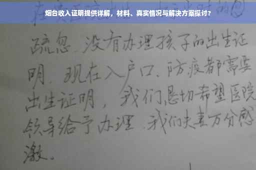 烟台收入证明提供详解，材料、真实情况与解决方案探讨?