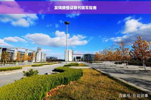 发烧病情证明书撰写指南