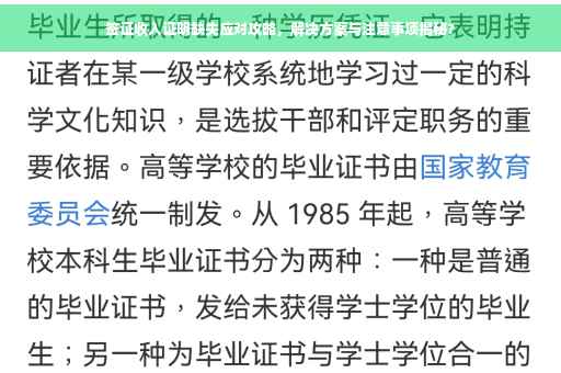 签证收入证明缺失应对攻略，解决方案与注意事项揭秘?
