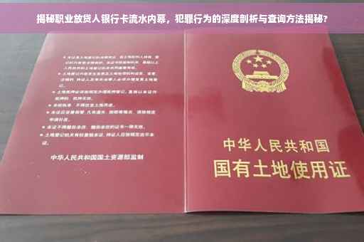 揭秘职业放贷人银行卡流水内幕，犯罪行为的深度剖析与查询方法揭秘?