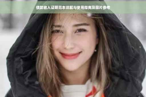 债款收入证明范本详解与使用指南及图片参考