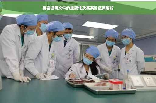 持票证明文件的重要性及其实际应用解析