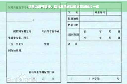 诊断证明书揭秘，探寻发烧背后的真相及图片一览