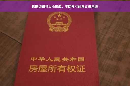 诊断证明书大小详解，不同尺寸的含义与用途
