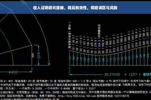 收入证明避坑策略，提高有效性，规避误区与风险